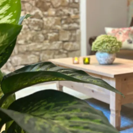 Harz-bleibe 베르니게로데