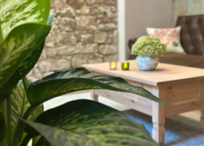 Harz-bleibe Wernigerode